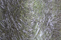 Callands fibreglass roof work